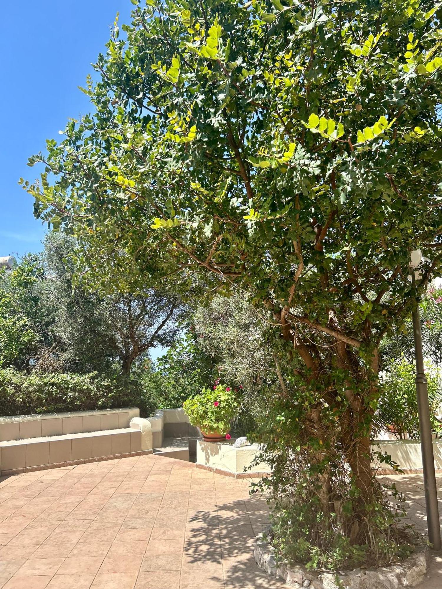 Esperia Apartments Platanes (Rethymno) Quarto foto